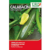 Semilla Calabacn Grey Zucchini 4 Gramos