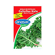Semillas Coltallos Kale Black 3 Gramos