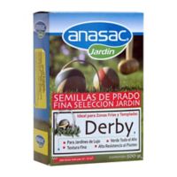 Anasac Semilla pasto derby clima frio 500 gramos