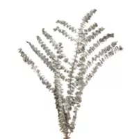 Follaje decorativo eucalipto gris