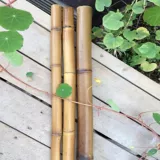 Palos De Bambú 120 cm Largo 12 mm Diámetro