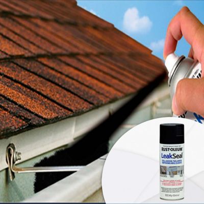 Comprar pintura online impermeable para reparar pequeñas goteras.