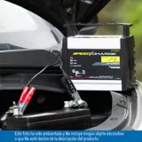 Cargador digital auto Batería 2-4-6amp
