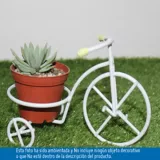 Triciclo Decojardin Cactus Redonda
