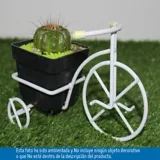 Triciclo Decojardin Cactus Cuadrada