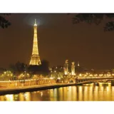 Fotomural Paris de Noche 254x184 cm