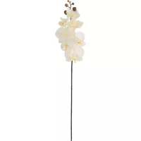 Flor Artificial Orquídea Blanca 69cm