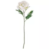 Flor Artificial Peonia Blanco 63 cm