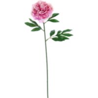 Flor Artificial Peonia Rosa 53 cm