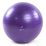 Gymball Zoom Fitness 65 Cm Morado