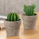 Vela Cactus Exterior Tarro