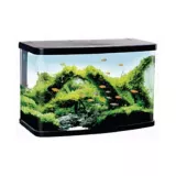 Acuario Para Peces Vision Aquarium Resun VS60 50 l