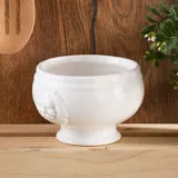 Bowl Sopa Leon Blanco