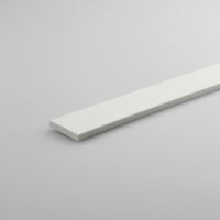 Platina PVC Blanco Satín 10x3mm 1m