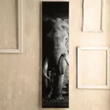 Cuadro Vidrio Elefante 28x110 cm