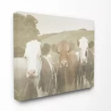 Cuadro en Lienzo Vacas en el Campo 41x51