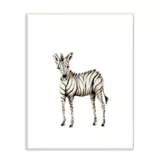 Cuadro Decorativo Baby Zebra Placa 25x38