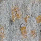 Recubrimiento Decorativo de Pared Kelebek 4,5M2 Blanco-Amarillo