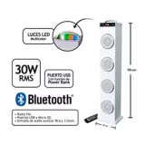 Amplificador Tipo Torre 30 Wrms Bluetooth Luces LED