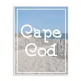 Cuadro Decorativo Playa Cape Cod Vintage Placa 32x47