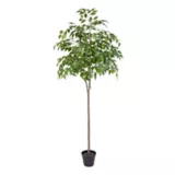 Mini Ficus Artificial De 160 Cm