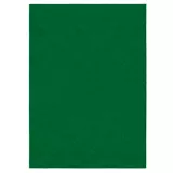 Tapete de Área Verde Evergreen 281.9 X 198 cm Grama