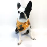 Pañoleta Para Perro Doo Gomelopet Talla XS Naranja