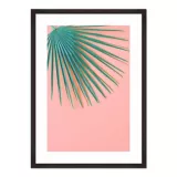 Cuadro Pink Palm Leaves 21x30cm Marco Café