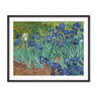 Cuadro Irises  Van Gogh 100x79cm Marco Café