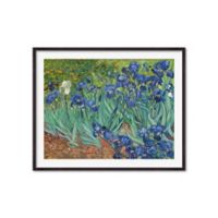 Cuadro Irises  Van Gogh 70x57cm Marco Café