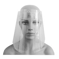 Set x 10 Careta Protectora Facial Ajuste PVC