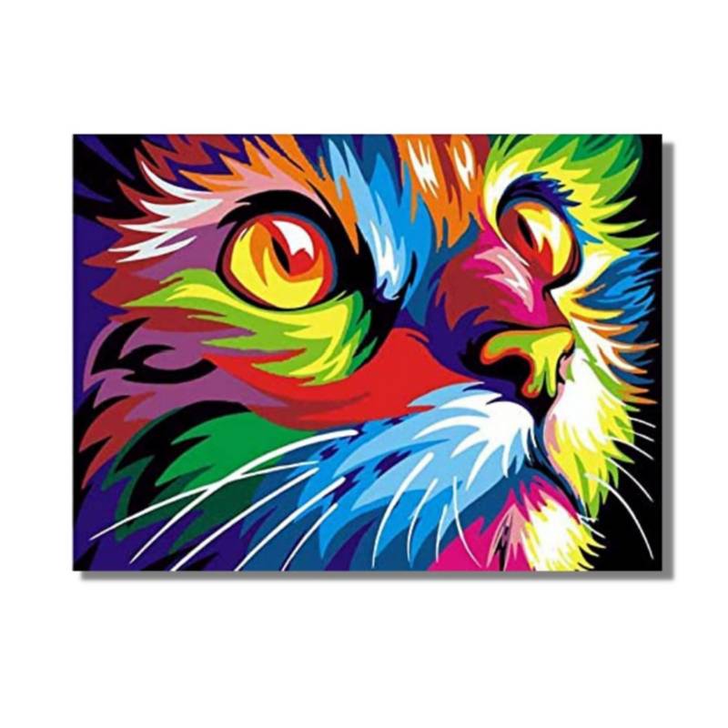 Kit Pintura: Cuadro para Pintar por Números 40x50cm Gato Bigotes PINTALA  CUADROS