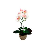 Piedra Orquídea Artificial Blanca De 40 Cm