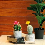 Planta Artificial Cactus Multicolor 9x20cm