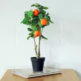 Planta Artificial Árbol Naranjo 25x57cm