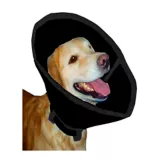 Collar Isabelino Para Perro Lona Negro Hally Pets Talla XL
