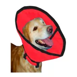 Collar Isabelino Para Perro Lona Rojo Hally Pets Talla XL