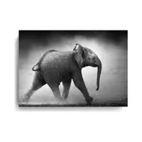 Cuadro Decorativo de Elefante L 49x69