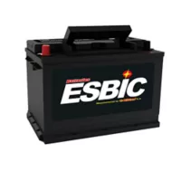 Batería Caja 48I-830 Ca 800 Esbic