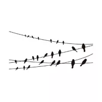 Vinilo Decorativo Aves en Cuerdas M 120x50cm