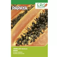 Semilla Papaya Melona 2 Gramos