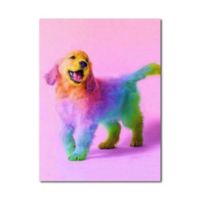 Kit de Pintura: Cuadro para Pintar por Números 40x50 Cachorro ArcoIris