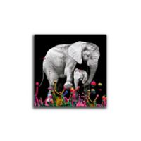 Cuadro Elefante Colores L 60X60 Cm