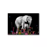 Cuadro Elefante Colores M 45X70 Cm