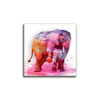 Cuadro Elefante Rosa L 60X60 Cm