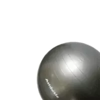 Balón De Yoga En Pvc Color Gris 55 Cm Con Inflador