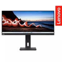 Lenovo Monitor Lenovo Lcd Retroiluminado Wfhd Thinkvision E29w-20 Negro