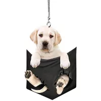 Adorno Colgante de Perro Razas Mascotas Espejo Retrovisor 3d Labrador