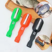 Cuchillo/Cepillo Quita Escamas Pescados