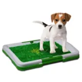 Tapete Entrenador Perros Lavable Baño Caninos Potty Pad Entrenamiento